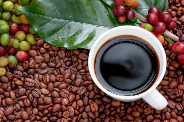 Exploring the Best Coffee Beans in the World