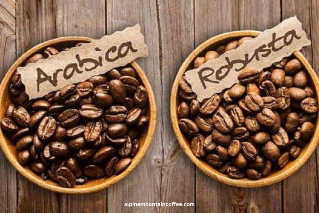 Types of Coffee Beans