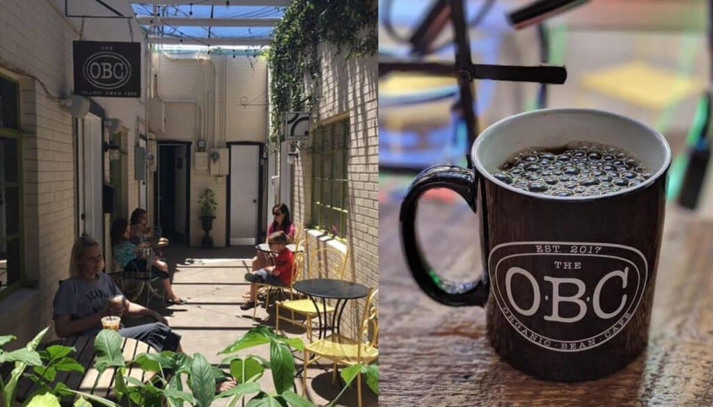 Organic Bean Café - Top Best Coffee Shops in Mesa, Arizona