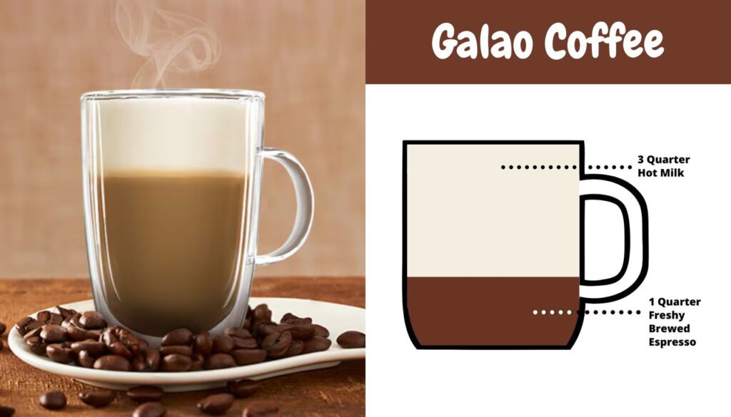 The Basics of Galão