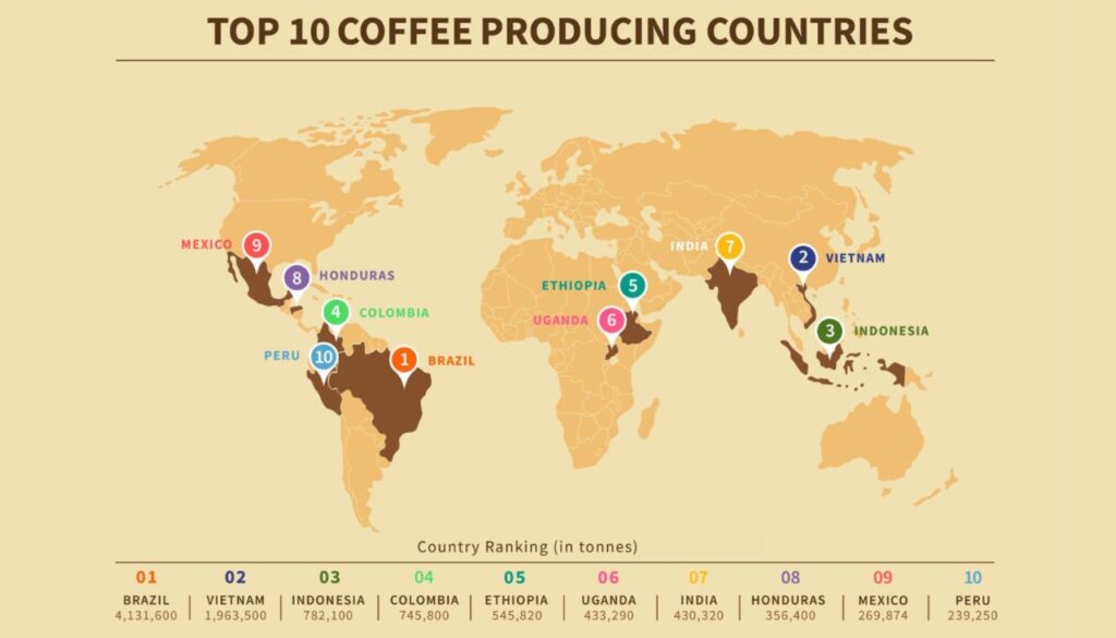 Leading Coffee-Producing Countries - Which Country Produces the Most Coffee?