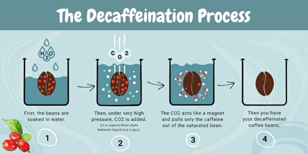 The Decaffeination Process - AlpineMountainCoffee.com