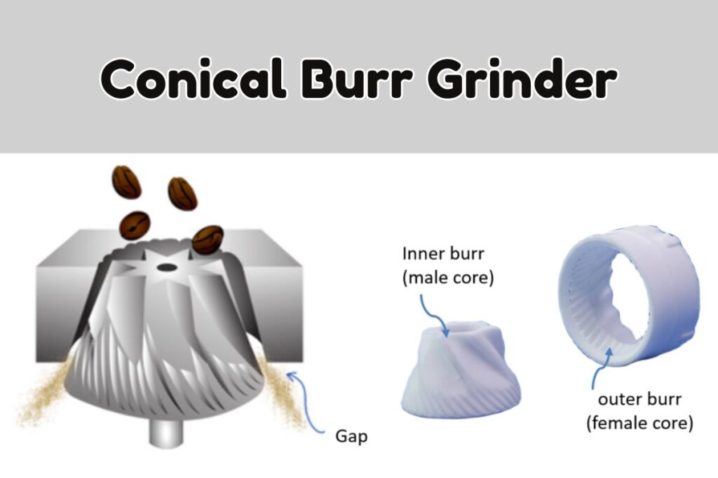 Conical Burr Grinders