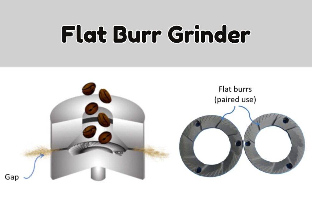 Flat Burr Grinders